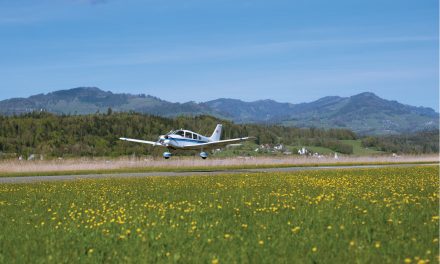 8 Steps for Springtime Prep