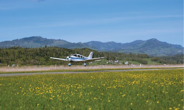 8 Steps for Springtime Prep