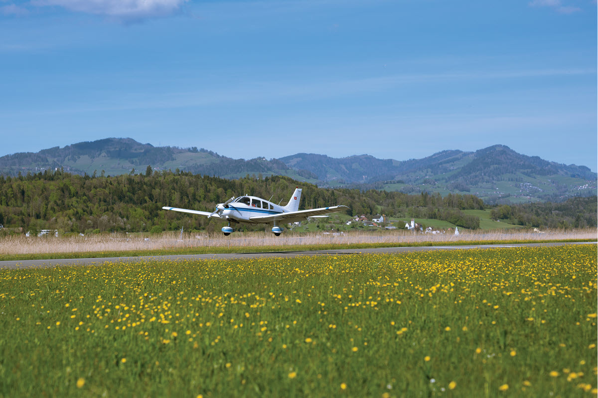 8 Steps for Springtime Prep | Piper Owner Society