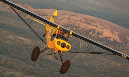 The Ultimate Tailwheel Trainer: The Super Cub