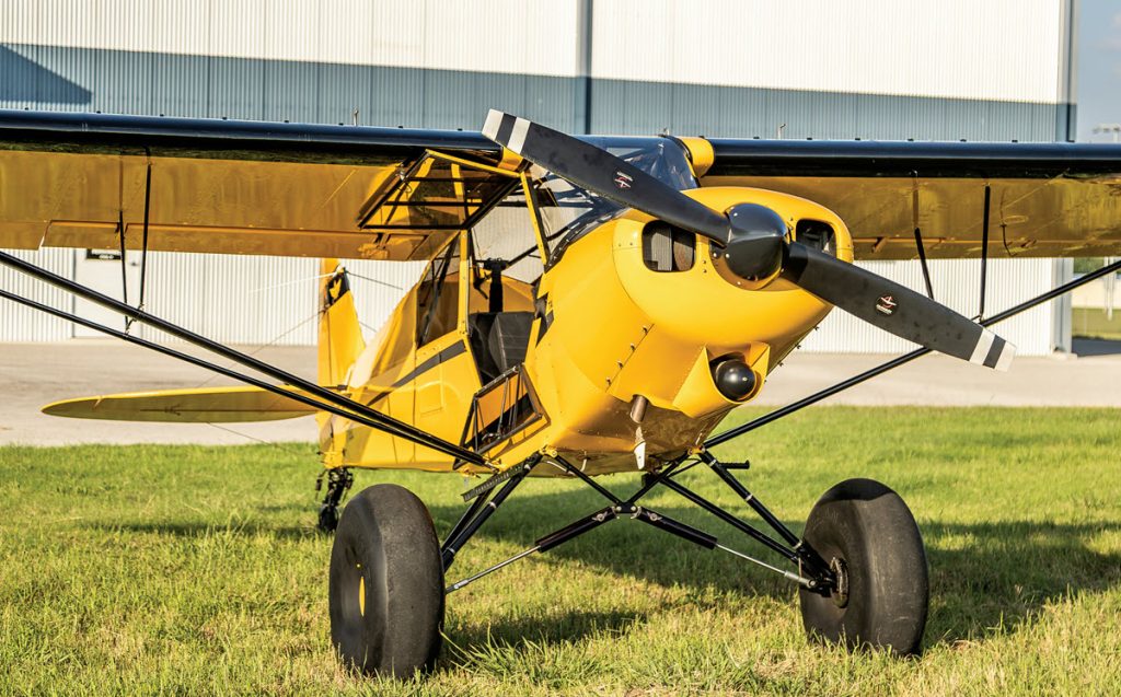 Piper Super Cub on grass
