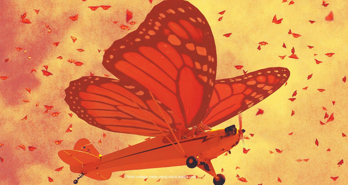 Monarchs and Midair Impacts