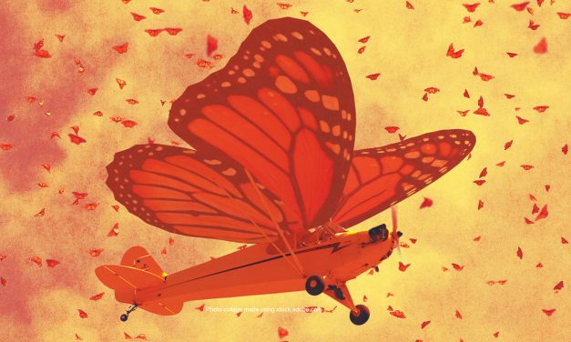 Monarchs and Midair Impacts