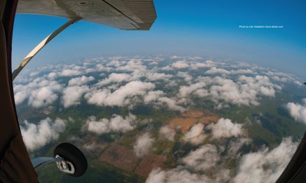 The Littlest Emergency