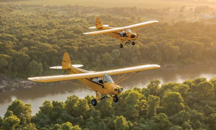 The Rare Piper PA-11