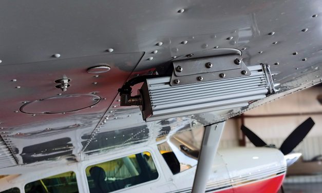 Split-Second Bird Strike Avoidance